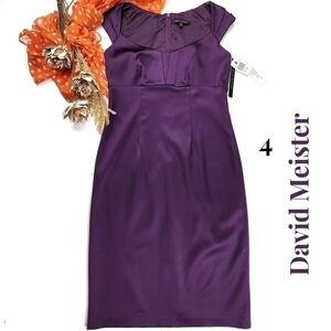 New David Meister Purple Formal Dress Sz 4